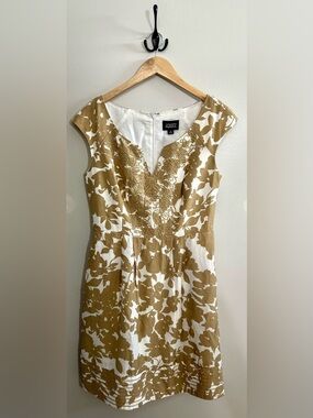 Adrianna Papell Embroidered Fit and Flare V Neck Floral Midi Dress Size 10